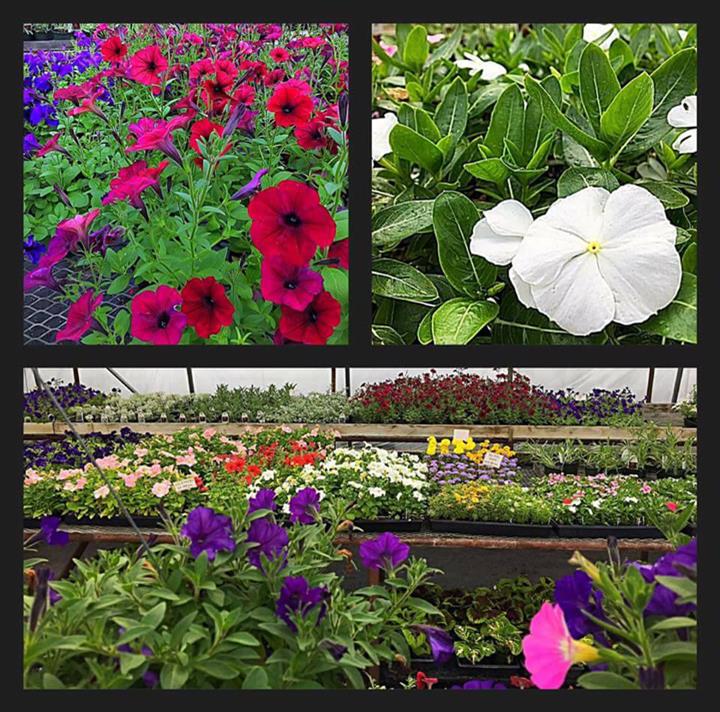 Peru Greenhouses & Landscaping Peru, IL