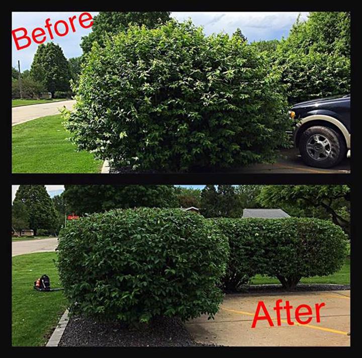 Peru Greenhouses & Landscaping Peru, IL